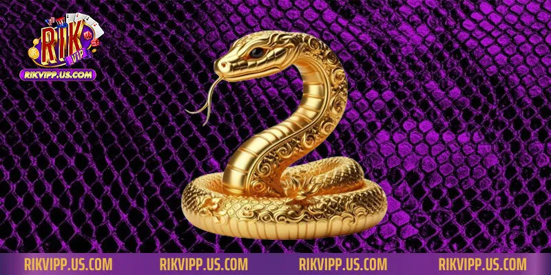 Mơ thấy rắn là điềm báo thay đổi mạnh trong cuộc sống